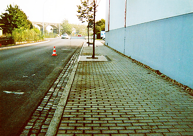 Baumscheinen an der Strae